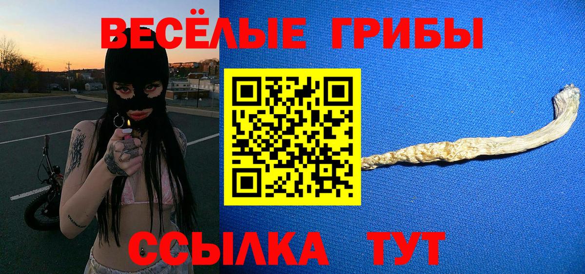 купить наркотики цена  Галлюциногенные грибы GOLDEN TEACHER  Вход с VPN  Коломна  Псилоцибиновые грибы прущие грибы 