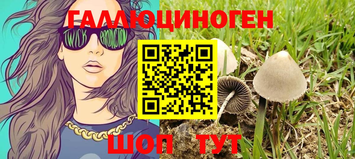Псилоцибиновые грибы прущие грибы Коломна